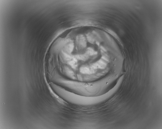 X0000063471439200602101729