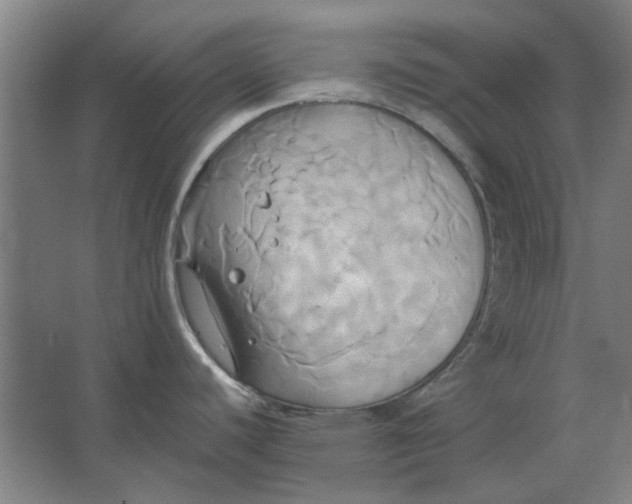 X0000063471440200602101729