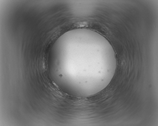 X0000063471442200602101728