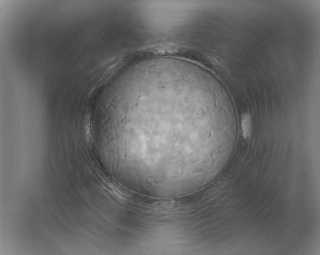 X0000063471444200602101728