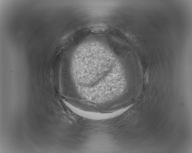 X0000063471445200602101728