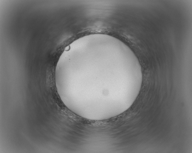 X0000063471446200602101728