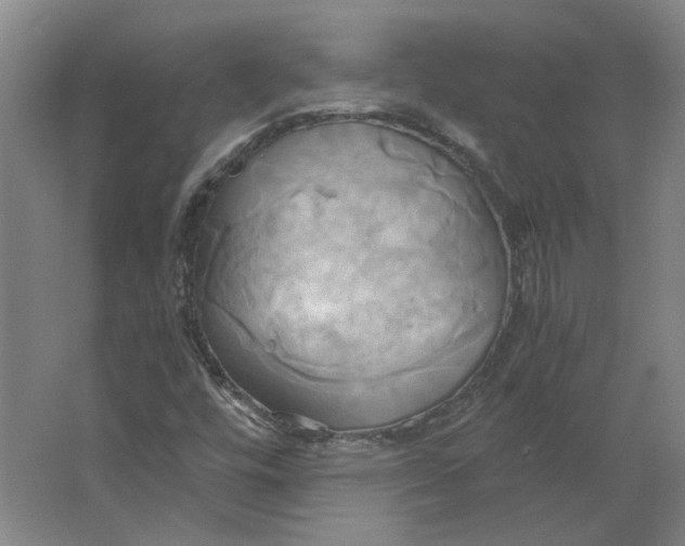 X0000063471448200602101728