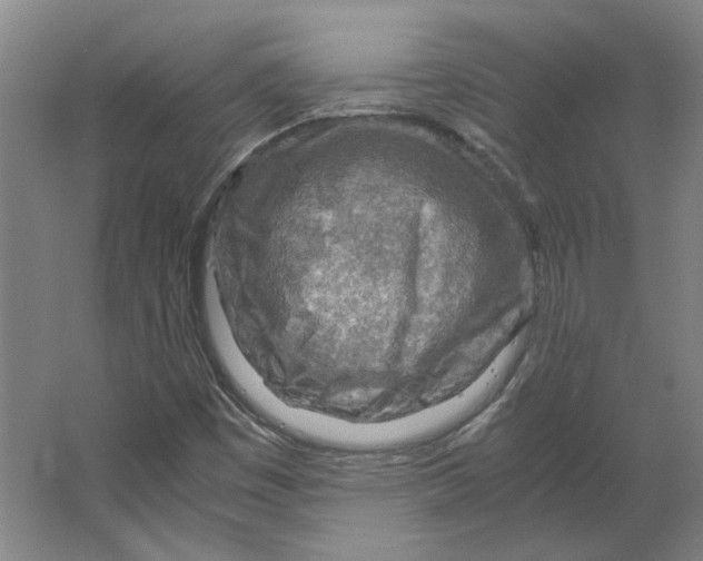 X0000063471449200602101728