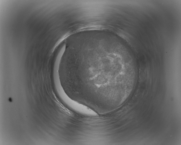 X0000063471450200602101728