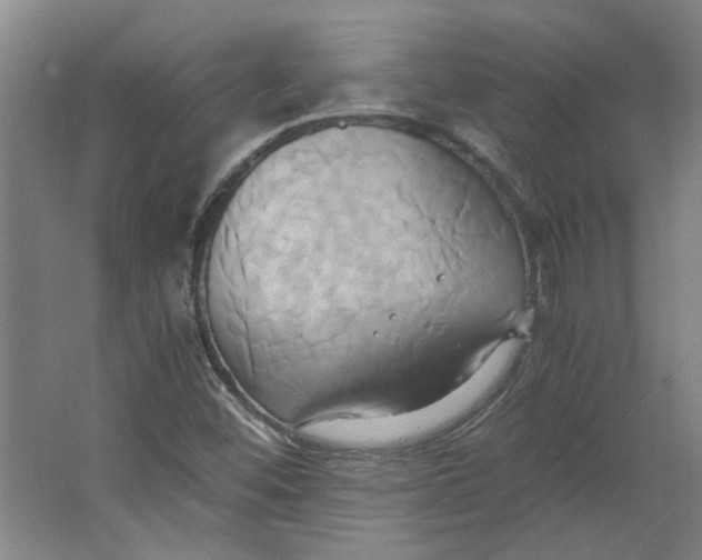 X0000063471452200602101728