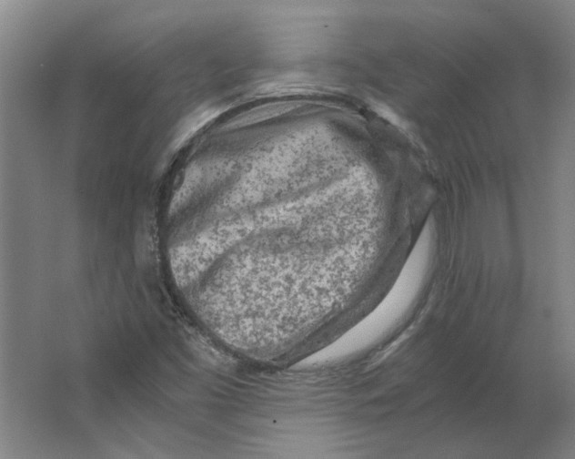 X0000063471453200602101728