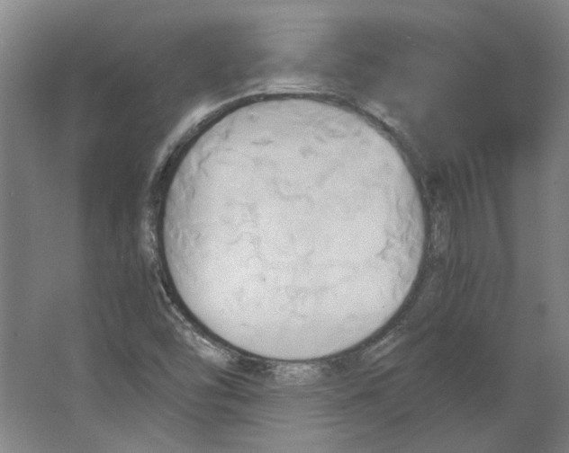 X0000063471454200602101728