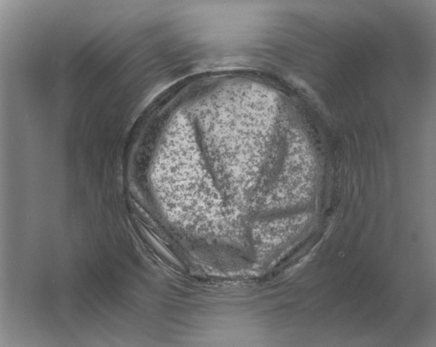 X0000063471457200602101728