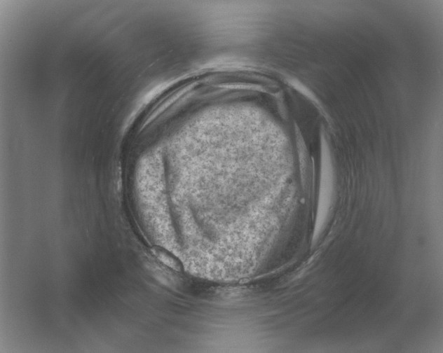 X0000063471461200602101728