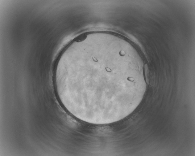 X0000063471464200602101728