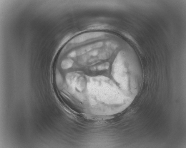 X0000063471467200602101728