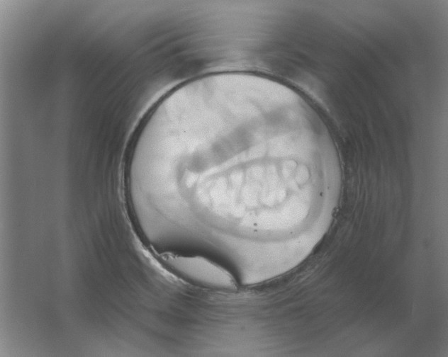 X0000063471468200602101728