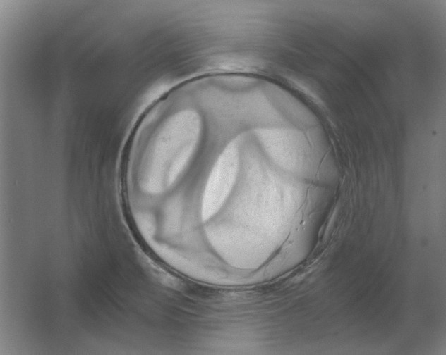 X0000063471471200602101728