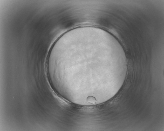 X0000063471474200602101727