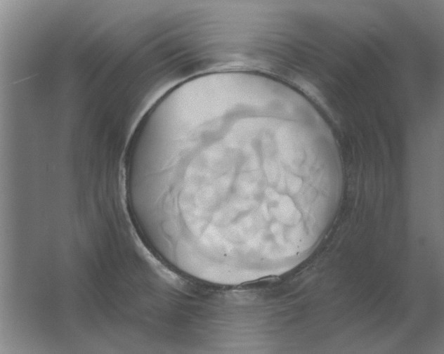 X0000063471476200602101727