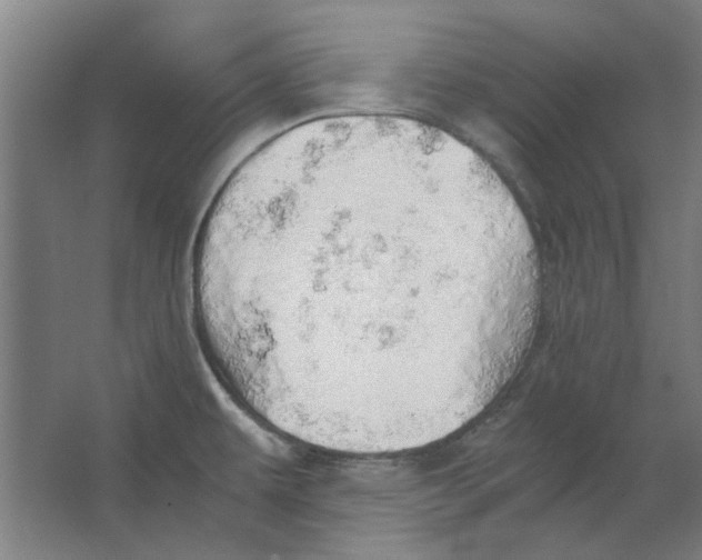 X0000063471479200602101727