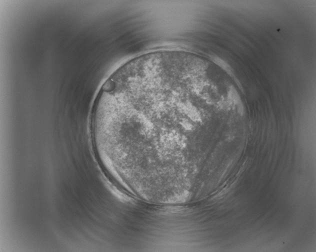 X0000063471482200602101727