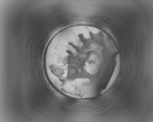 X0000063471483200602101727