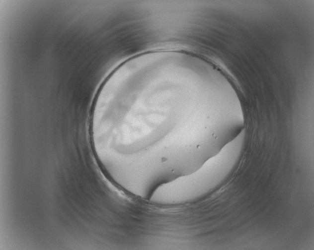 X0000063471484200602101727