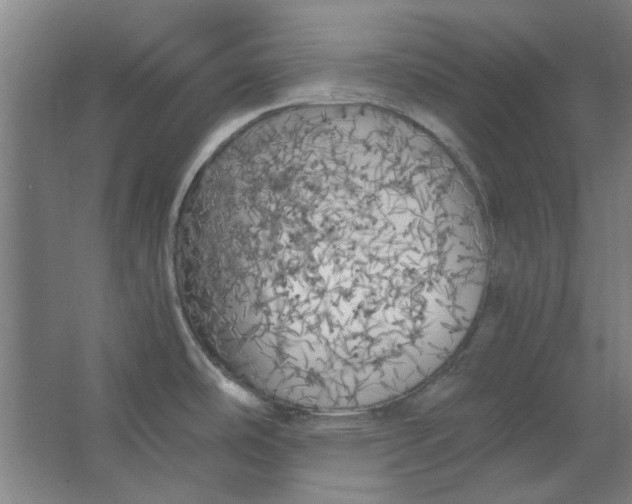 X0000063471486200602101727