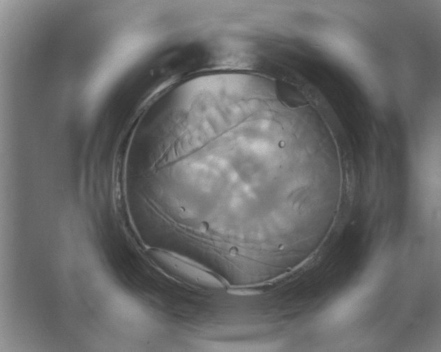 X0000063471487200602101727