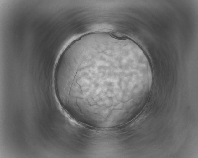 X0000063471488200602101727