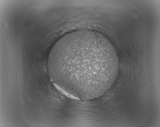 X0000063471490200602101726