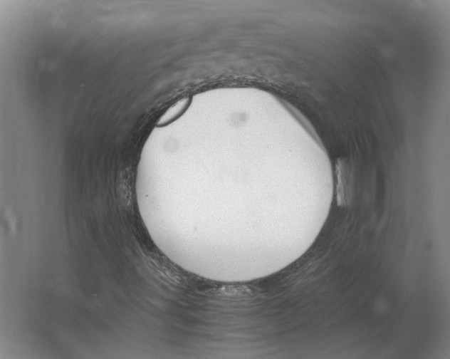 X0000063471491200602101726