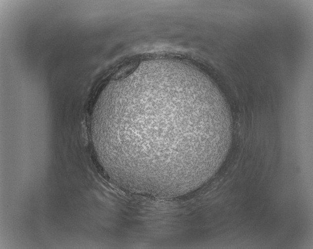 X0000063471493200602101727