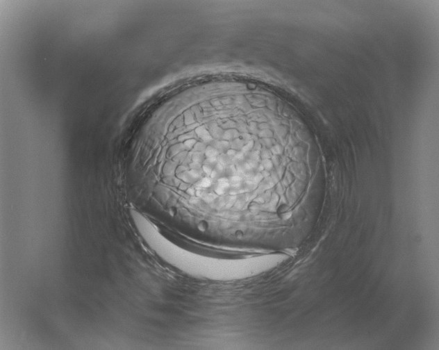 X0000063471494200602101727