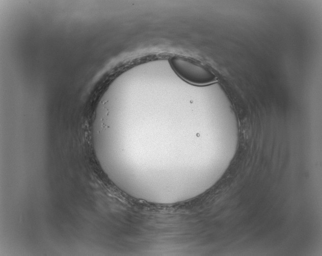 X0000063471495200602101727