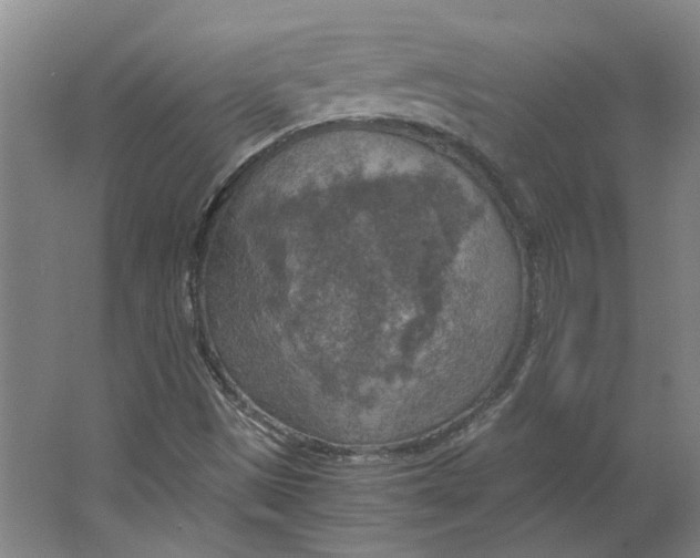 X0000063471497200602101727