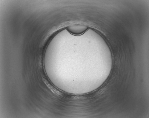 X0000063471499200602101727