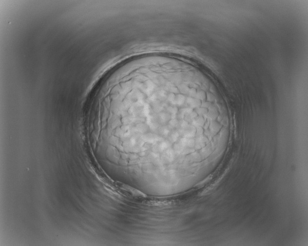 X0000063471501200602101727