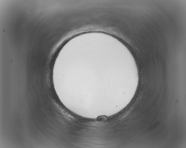 X0000063471502200602101727