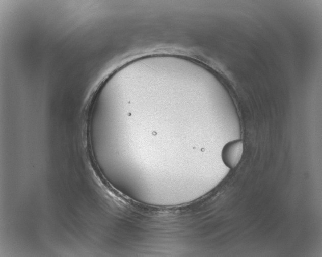 X0000063471504200602101727