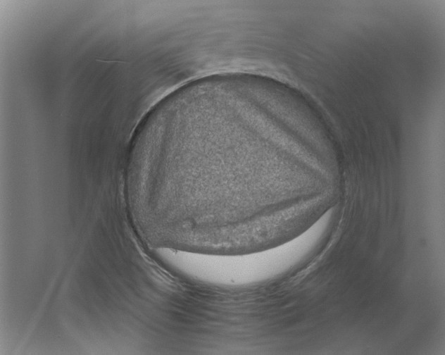 X0000063471505200602101727