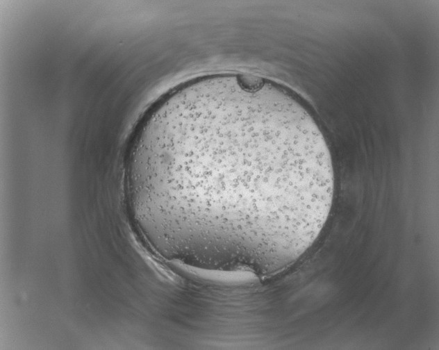 X0000063471507200602101727