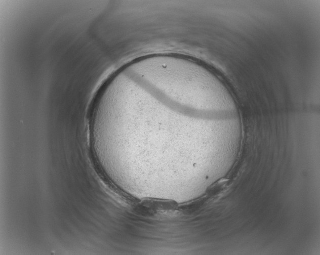 X0000063471509200602101727