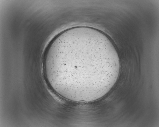 X0000063471511200602101727