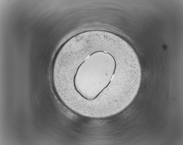 X0000063471514200602101727