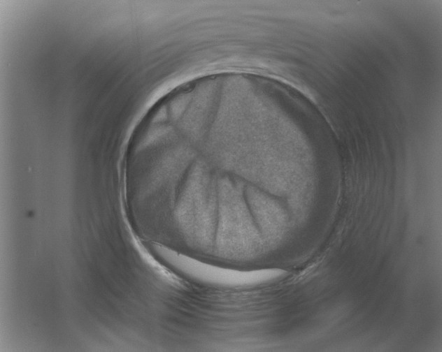 X0000063471515200602101727