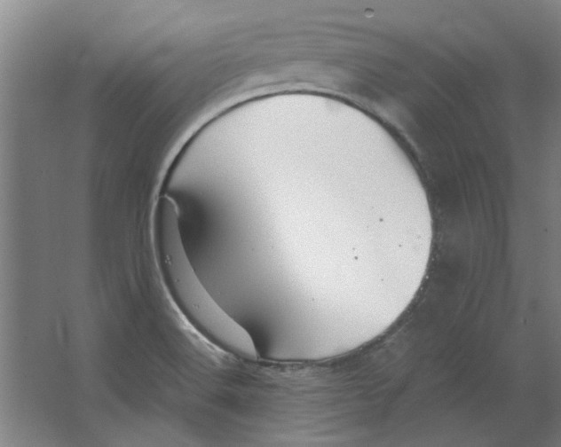 X0000063471516200602101727