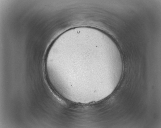 X0000063471517200602101727