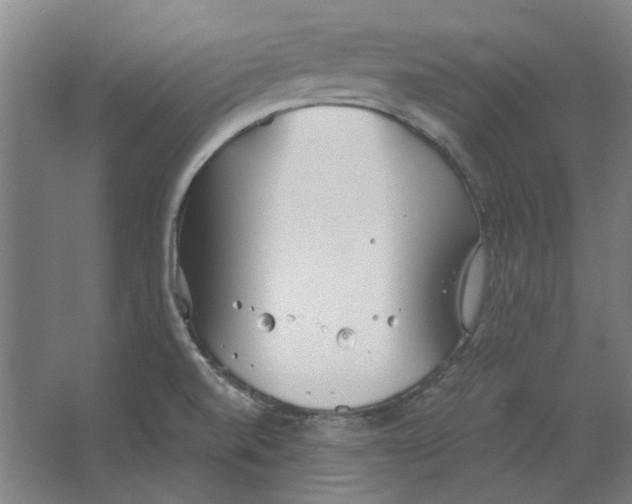 X0000063471520200602101727