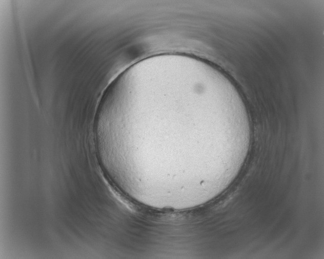 X0000063471521200602101727