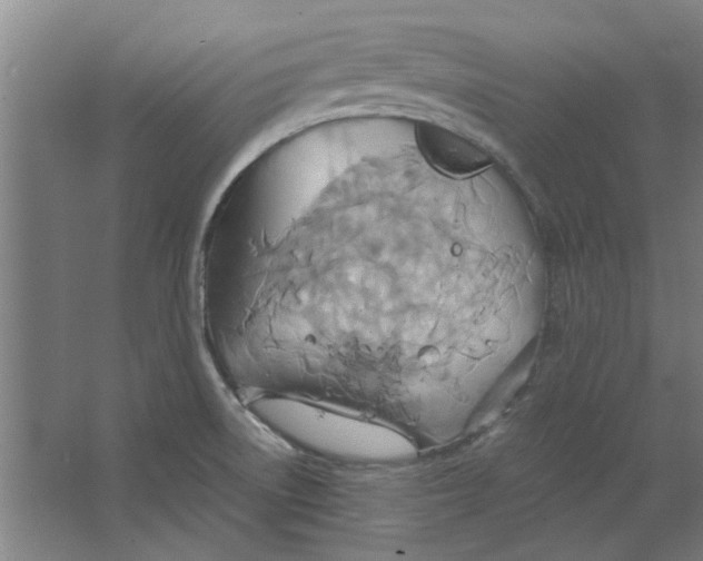 X0000063471522200602101727