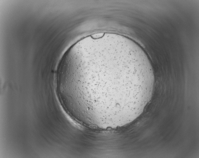 X0000063471523200602101727