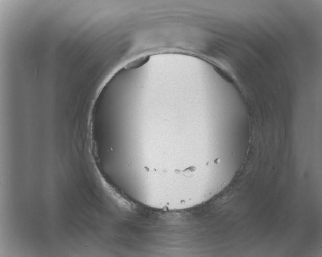 X0000063471524200602101727